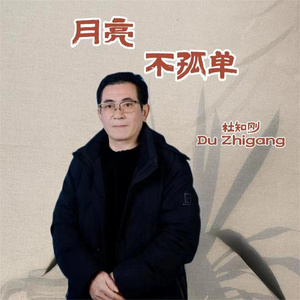 月亮不孤单 (伴奏)