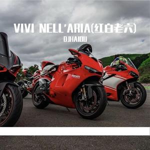 VIVI NELL'ARIA(红白老六)