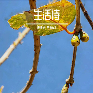 心依旧
