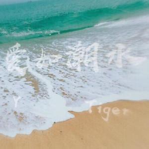 程浩天MARIO-爱如潮水Remix（YoungTiger remix）