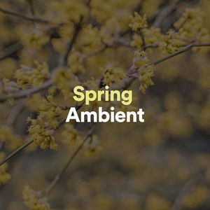 Spring Ambient, Pt. 11