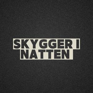 Skygger i natten