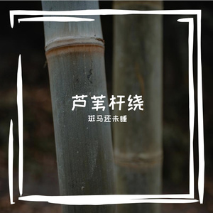 琴爬棕牟焕俦缚