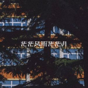茫茫风雨茫茫月
