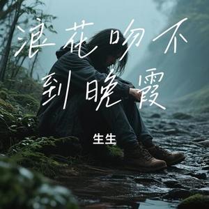 浪花吻不到晚霞