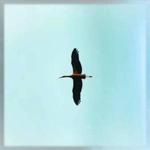 ''Cordiality'' Travis Scott Type Beat