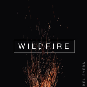 Wholeheartedly (feat. Sam Westhoff & Brooke Poindexter)