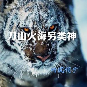 刀山火海另类神