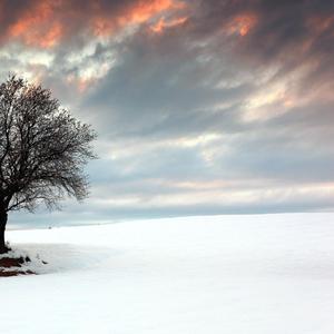 你会不会怀念去年的秋天