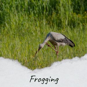 Frogging