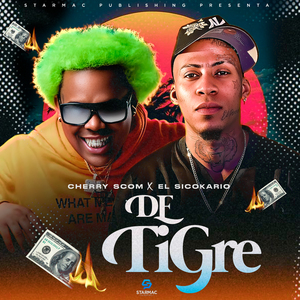 De Tigre