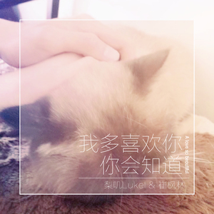 我多喜欢你，你会知道（Cover 王俊琪）