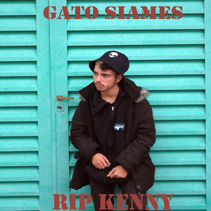 Gato Siames
