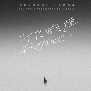 你若是懂我难过 (伴奏)