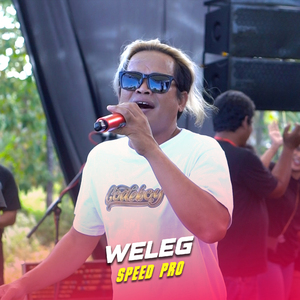 Weleg
