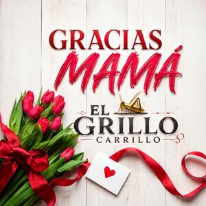 Gracias Mamá