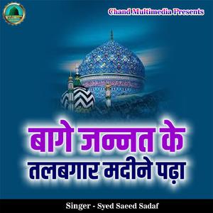 Baage Jannat Ke Talabgaar Madine Padha