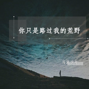 你只是路过我的荒野