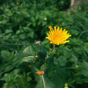 Субботнее утро