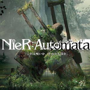 遺サレタ場所／斜光