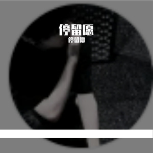 停留愿