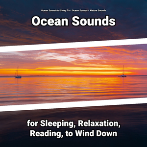 Becalming Reflections