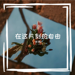 在这片刻的自由