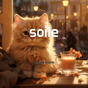 soile