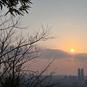 眼中的河塘(Demo)