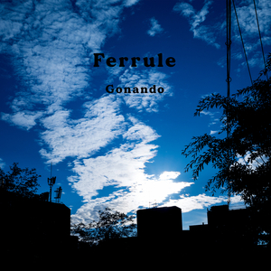Ferrule