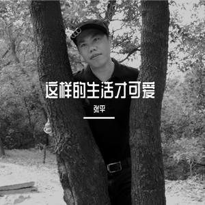 想你想你我真的好想你 （张平 remix）