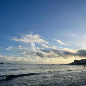 你卑微的样子好丢人啊