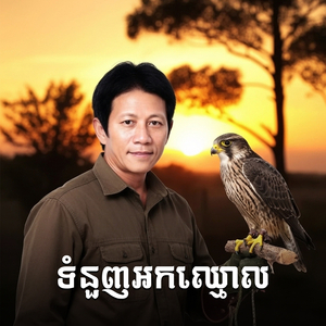 ទំនួញអកឈ្មោល