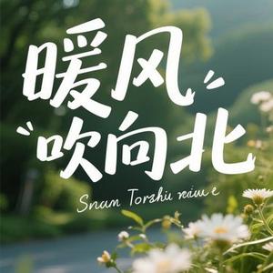 暖风吹向北 (茶与咖啡 Remix)