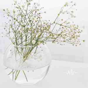 一杯清茶 (吉他)