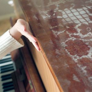 in search of song