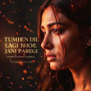 Dil Lagi x Zarori Tha Qawali Mashup