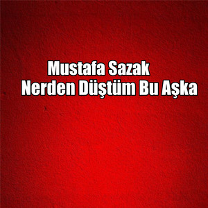 Nerden Düştüm Bu Aşka