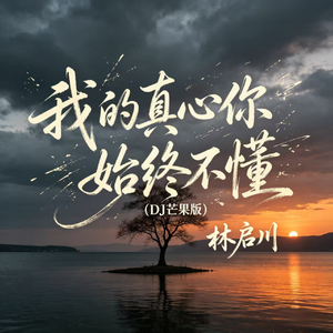 我的真心你始终不懂（DJ芒果版）
