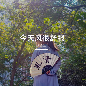 今天风很舒服