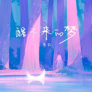 醒不来的梦 (DJ版)