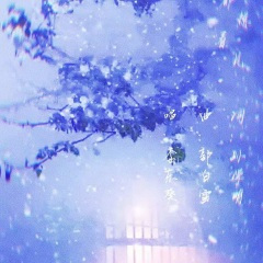 做梦都想看见