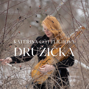 Družička