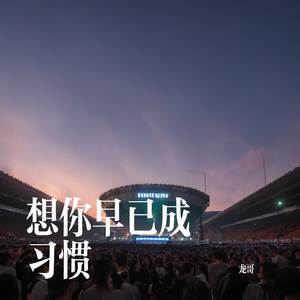 想你早已成习惯