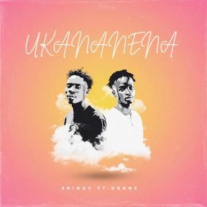 Ukananena (feat. DRONE Mw)