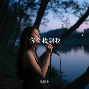 你会找到我 (陈浮生 Remix)