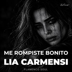 Me Rompiste Bonito