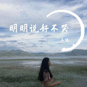 群星-明明说好不哭（王谜 remix）