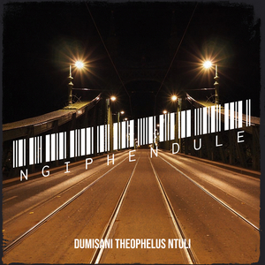 Ngiphendule
