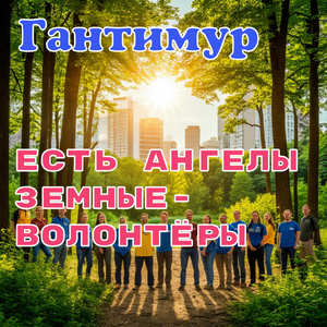 Есть ангелы земные - волонтёры